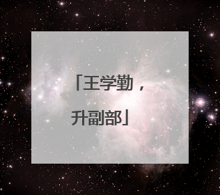 王学勤，升副部