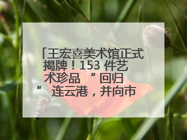 王宏喜美术馆正式揭牌！153 件艺术珍品 “ 回归 ” 连云港，并向市民免费开放