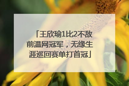 王欣瑜1比2不敌前温网冠军，无缘生涯巡回赛单打首冠