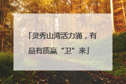 灵秀山湾活力涌，有品有质赢“卫”来