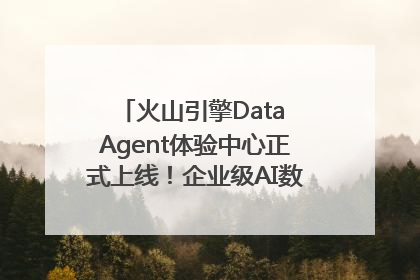 火山引擎Data Agent体验中心正式上线！企业级AI数据专家触手可及