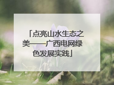 点亮山水生态之美——广西电网绿色发展实践