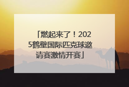 燃起来了！2025鹤壁国际匹克球邀请赛激情开赛