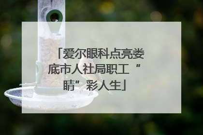 爱尔眼科点亮娄底市人社局职工“睛”彩人生