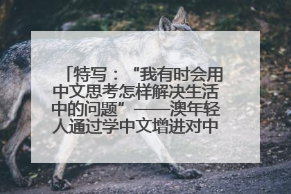 特写：“我有时会用中文思考怎样解决生活中的问题”——澳年轻人通过学中文增进对中华文化的理解