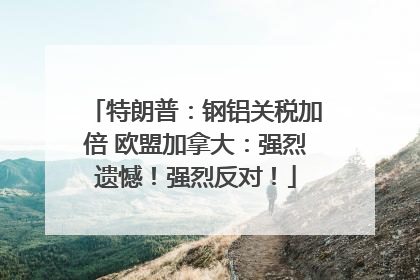 特朗普：钢铝关税加倍 欧盟加拿大：强烈遗憾！强烈反对！