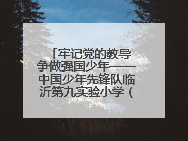 牢记党的教导 争做强国少年——中国少年先锋队临沂第九实验小学（北校区）第三次代表大会胜利召开