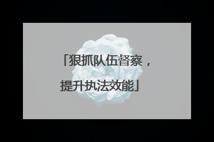 狠抓队伍督察，提升执法效能