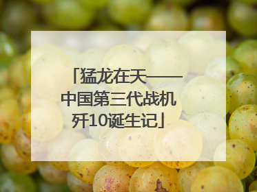 猛龙在天——中国第三代战机歼10诞生记