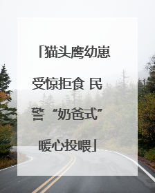 猫头鹰幼崽受惊拒食 民警“奶爸式”暖心投喂