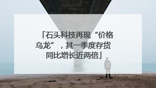 石头科技再现“价格乌龙”，其一季度存货同比增长近两倍