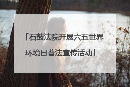 石鼓法院开展六五世界环境日普法宣传活动