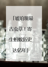 琥珀现最古虫草！寄生蚂蚁历史达亿年