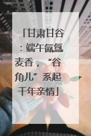 甘肃甘谷：端午氤氲麦香，“谷角儿”系起千年亲情
