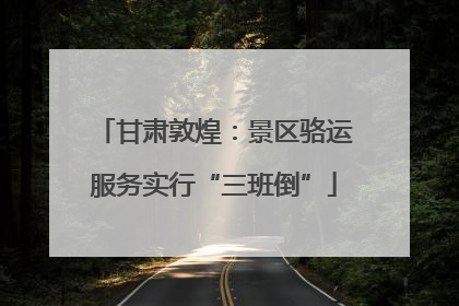 甘肃敦煌：景区骆运服务实行“三班倒”