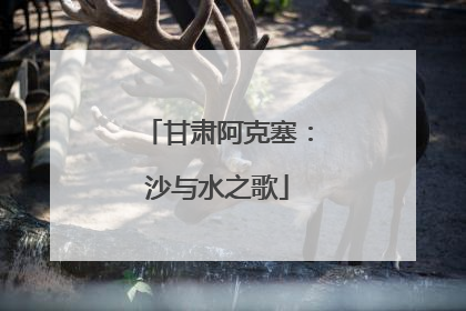 甘肃阿克塞：沙与水之歌