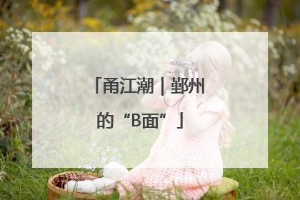 甬江潮｜鄞州的“B面”