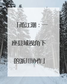 甬江潮：一座县域视角下的浙川协作