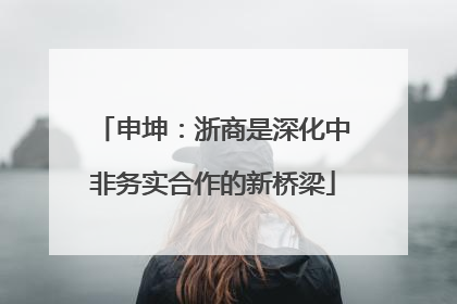 申坤：浙商是深化中非务实合作的新桥梁
