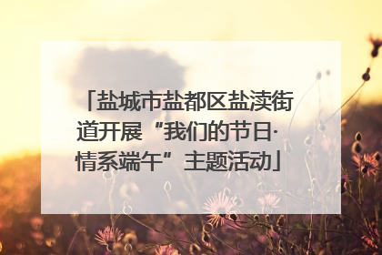 盐城市盐都区盐渎街道开展“我们的节日·情系端午”主题活动