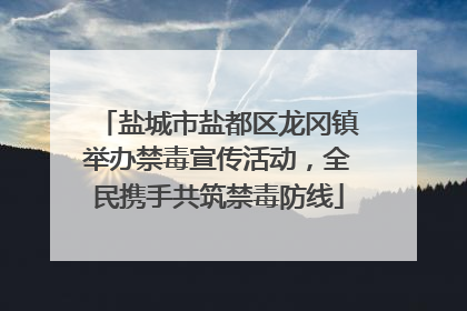 盐城市盐都区龙冈镇举办禁毒宣传活动，全民携手共筑禁毒防线