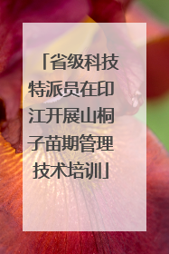 省级科技特派员在印江开展山桐子苗期管理技术培训