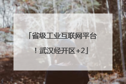 省级工业互联网平台！武汉经开区+2