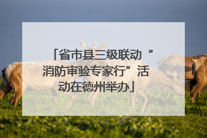 省市县三级联动“消防审验专家行”活动在德州举办