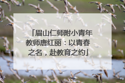 眉山仁师附小青年教师唐红丽：以青春之名，赴教育之约