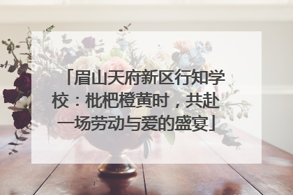眉山天府新区行知学校：枇杷橙黄时，共赴一场劳动与爱的盛宴