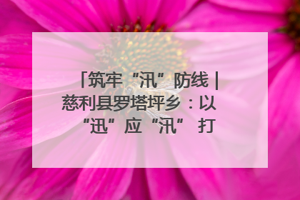 筑牢“汛”防线｜慈利县罗塔坪乡：以“迅”应“汛” 打赢暴雨防御战