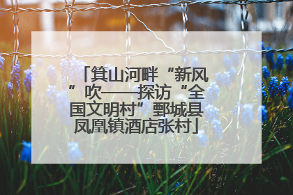 箕山河畔“新风”吹——探访“全国文明村”鄄城县凤凰镇酒店张村