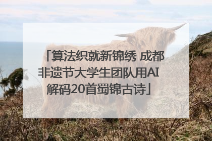 算法织就新锦绣 成都非遗节大学生团队用AI解码20首蜀锦古诗