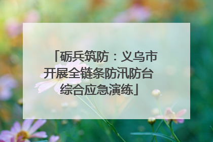 砺兵筑防：义乌市开展全链条防汛防台综合应急演练
