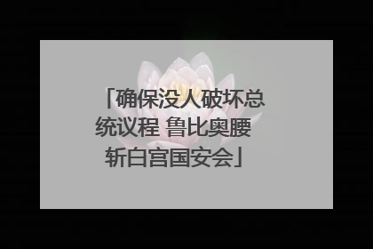 确保没人破坏总统议程 鲁比奥腰斩白宫国安会