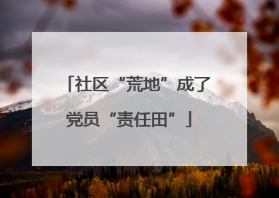 社区“荒地”成了党员“责任田”