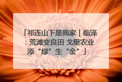 祁连山下是我家｜临泽：荒滩变良田 戈壁农业添“绿”生“金”