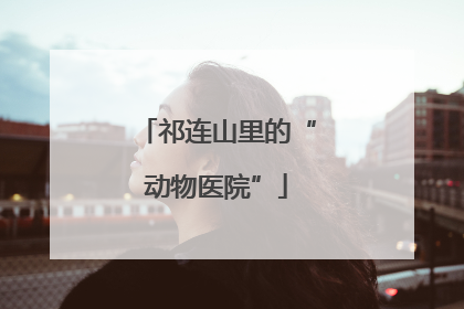 祁连山里的“动物医院”