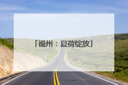 福州：夏荷绽放
