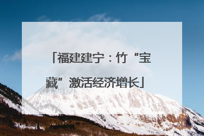 福建建宁：竹“宝藏”激活经济增长