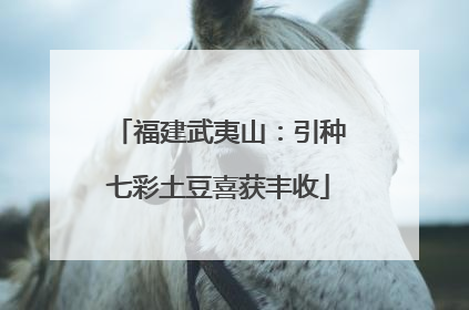 福建武夷山：引种七彩土豆喜获丰收