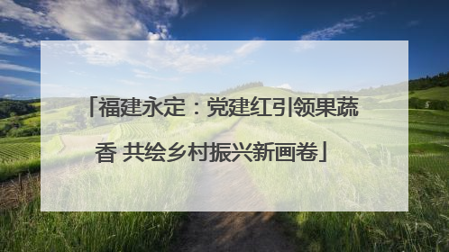 福建永定：党建红引领果蔬香 共绘乡村振兴新画卷