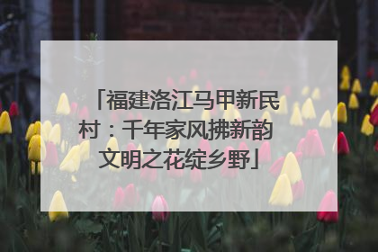 福建洛江马甲新民村：千年家风拂新韵 文明之花绽乡野