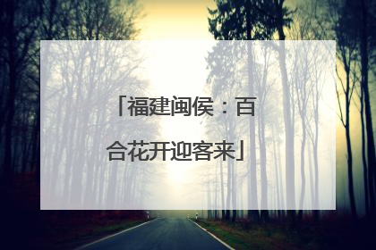 福建闽侯：百合花开迎客来
