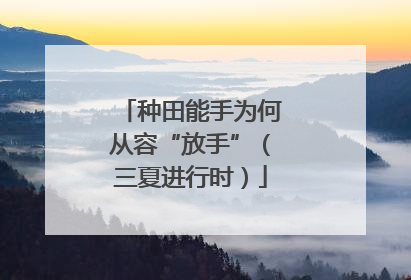 种田能手为何从容“放手”（三夏进行时）
