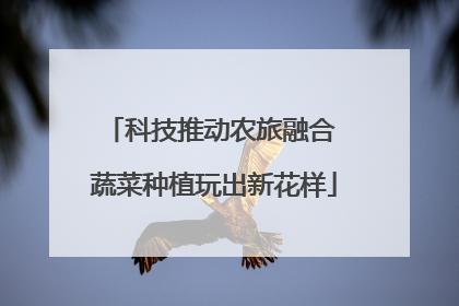 科技推动农旅融合 蔬菜种植玩出新花样