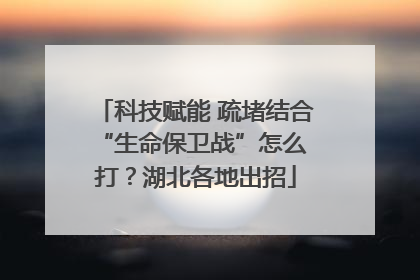 科技赋能 疏堵结合 “生命保卫战”怎么打？湖北各地出招