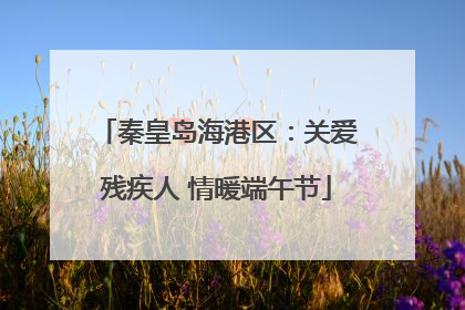 秦皇岛海港区：关爱残疾人 情暖端午节