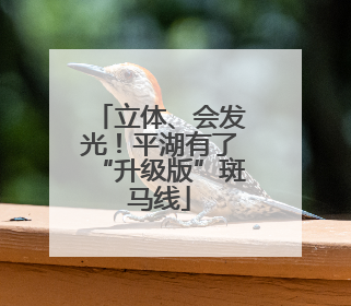 立体、会发光！平湖有了“升级版”斑马线