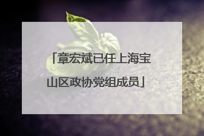 章宏斌已任上海宝山区政协党组成员